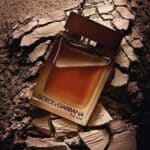 ⁦The One Dolce & Gabbana ✨⁩ - الصورة ⁦2⁩